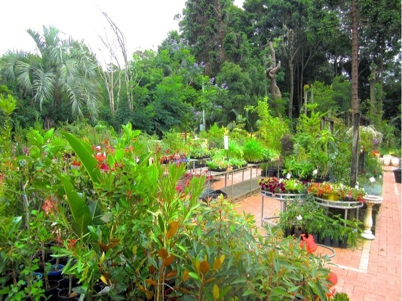 5 Cashman Road, Ulladulla NSW 2539