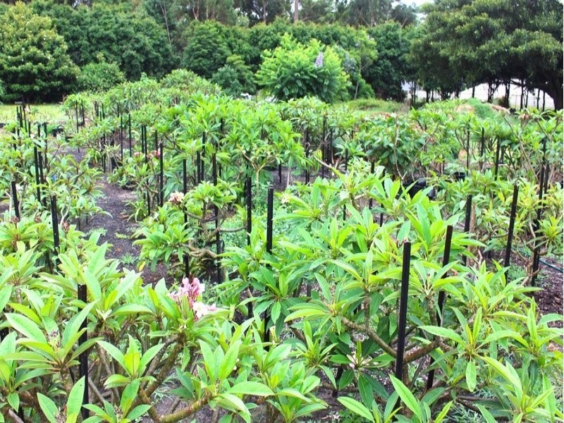 5 Cashman Road, Ulladulla NSW 2539