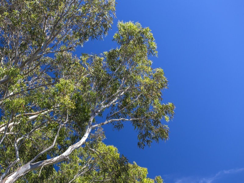48 Lurnea Avenue, Bawley Point NSW 2539