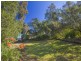 56 Tingira Drive, Bawley Point NSW 2539