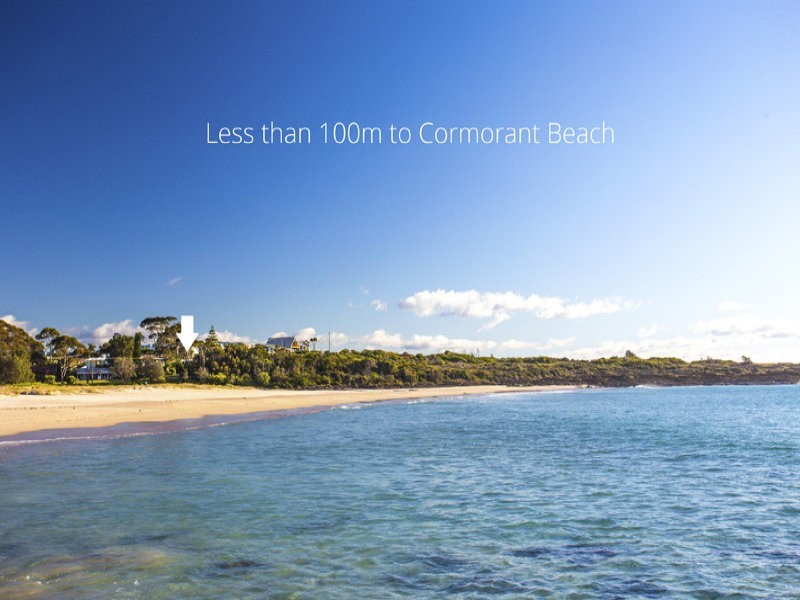 56 Tingira Drive, Bawley Point NSW 2539
