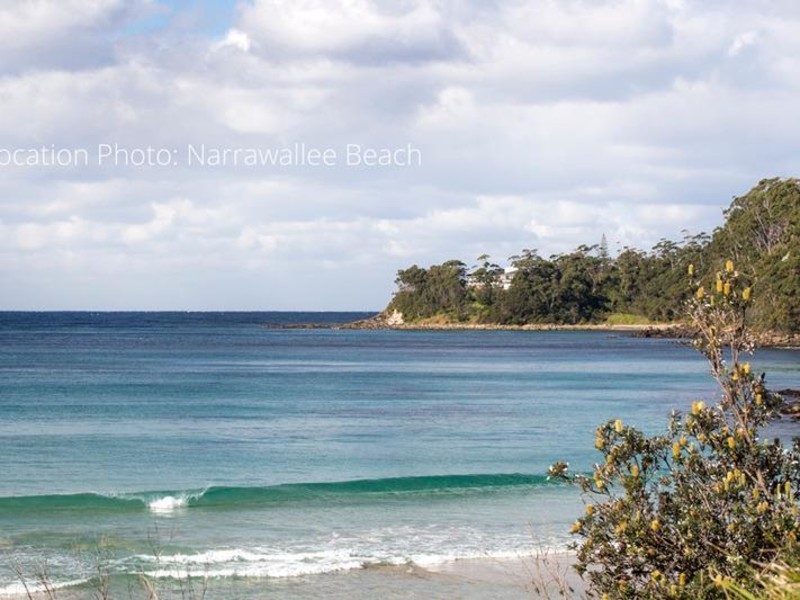 59 Leo Drive, Narrawallee NSW 2539