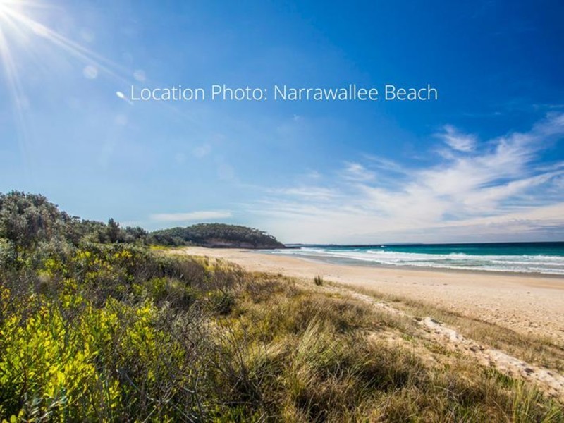 59 Leo Drive, Narrawallee NSW 2539