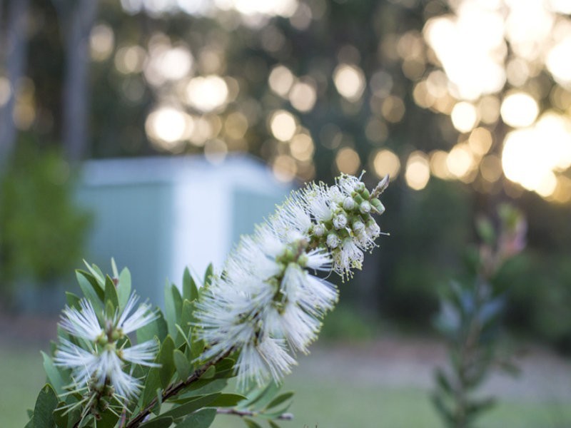 47 Seaspray Street, Narrawallee NSW 2539