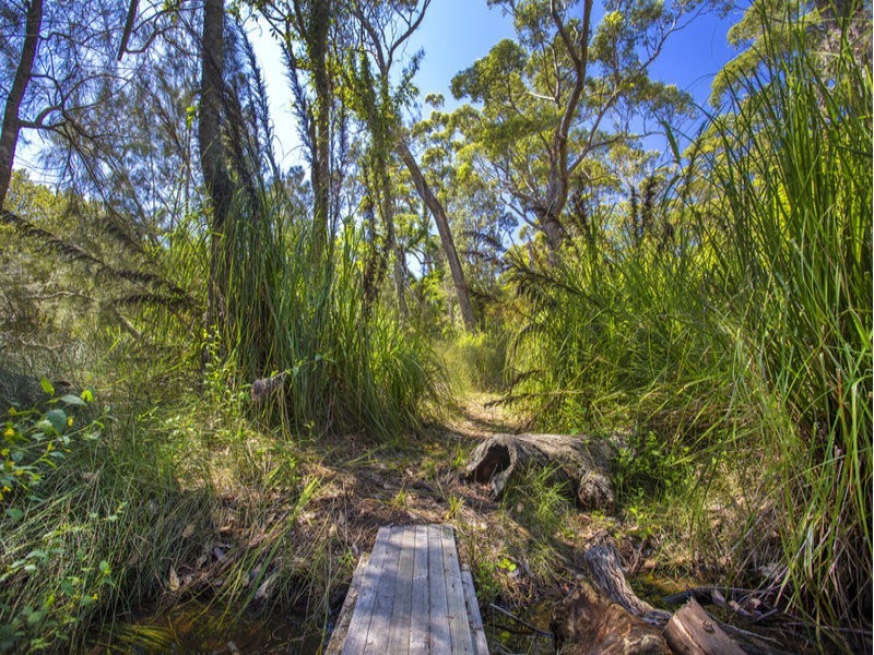 60 Macleay Street, Narrawallee NSW 2539