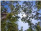 60 Macleay Street, Narrawallee NSW 2539