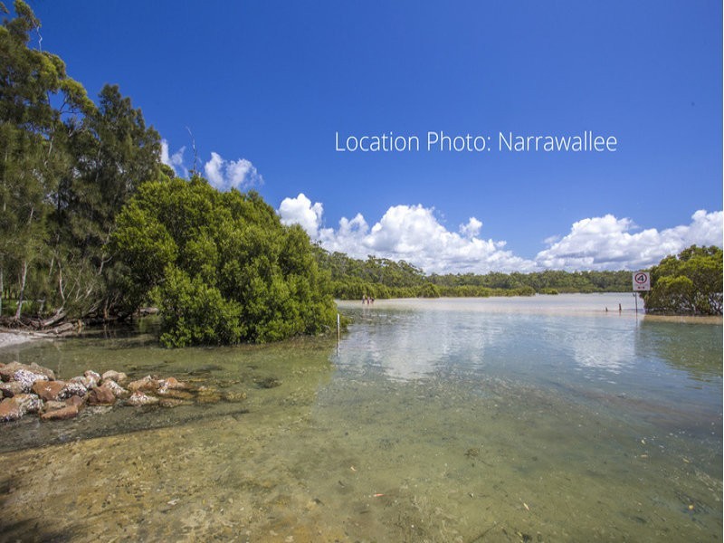 60 Macleay Street, Narrawallee NSW 2539