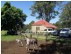 172A Pointer Road, Yatte Yattah NSW 2539