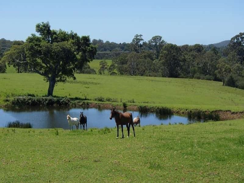 172A Pointer Road, Yatte Yattah NSW 2539