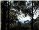 Lot 1 Woodburn Road, Morton NSW 2538
