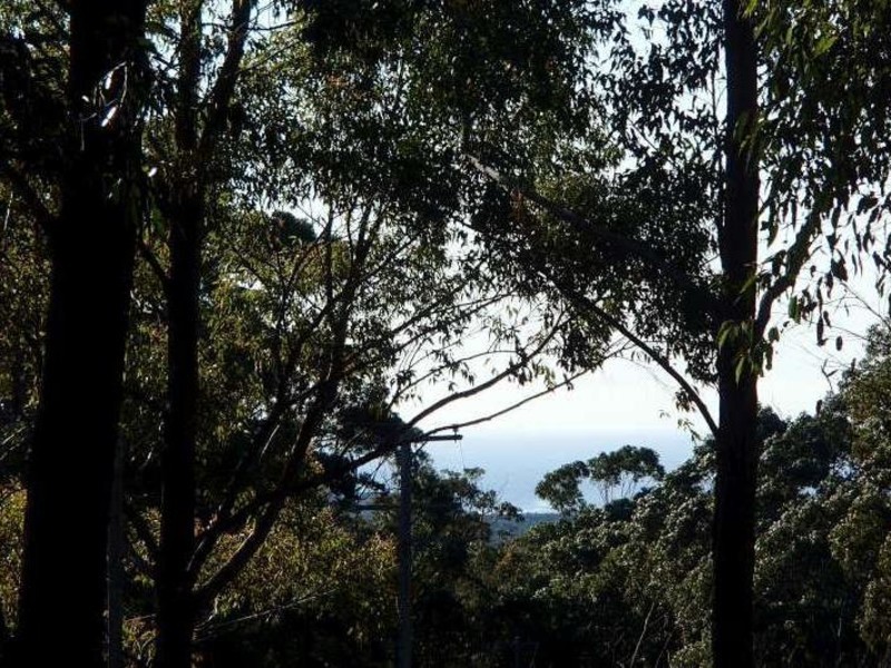 Lot 1 Woodburn Road, Morton NSW 2538