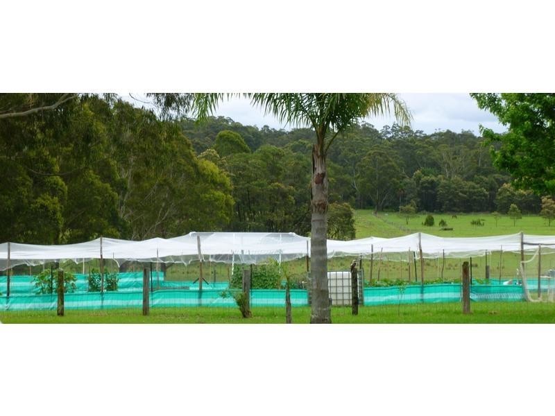 The Sheep Track, Brooman NSW 2538