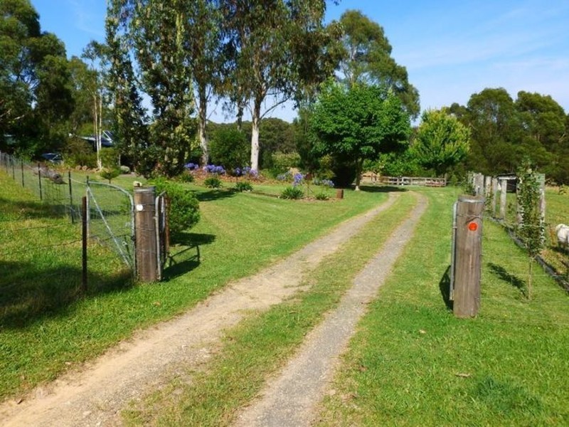 The Sheep Track, Brooman NSW 2538