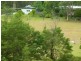 The Sheep Track, Brooman NSW 2538