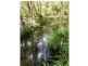 The Sheep Track, Brooman NSW 2538