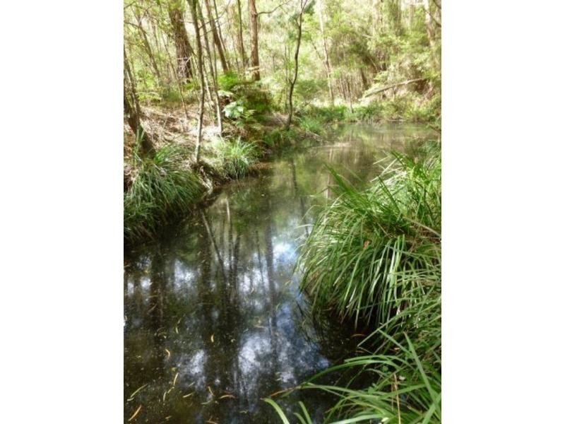 The Sheep Track, Brooman NSW 2538