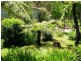 The Sheep Track, Brooman NSW 2538