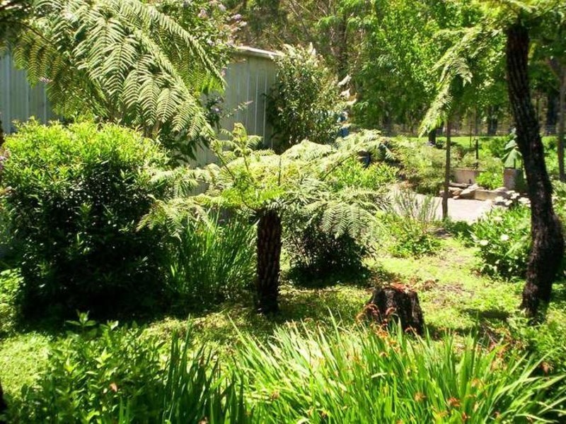 The Sheep Track, Brooman NSW 2538