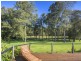 14 Sanderling Place, Bawley Point NSW 2539