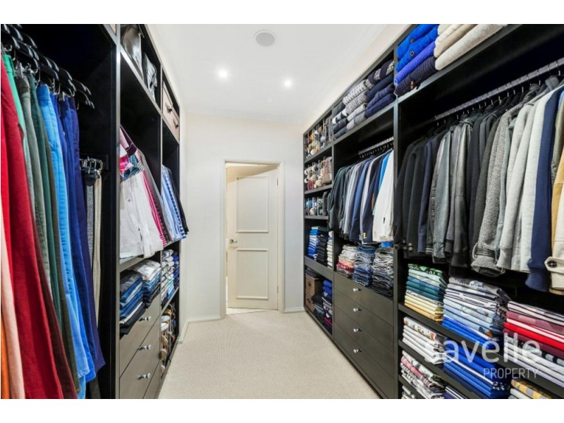 34/181 Clarence Street, Sydney NSW 2000