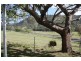 1753 Murphys Creek Road, Murphys Creek QLD 4352