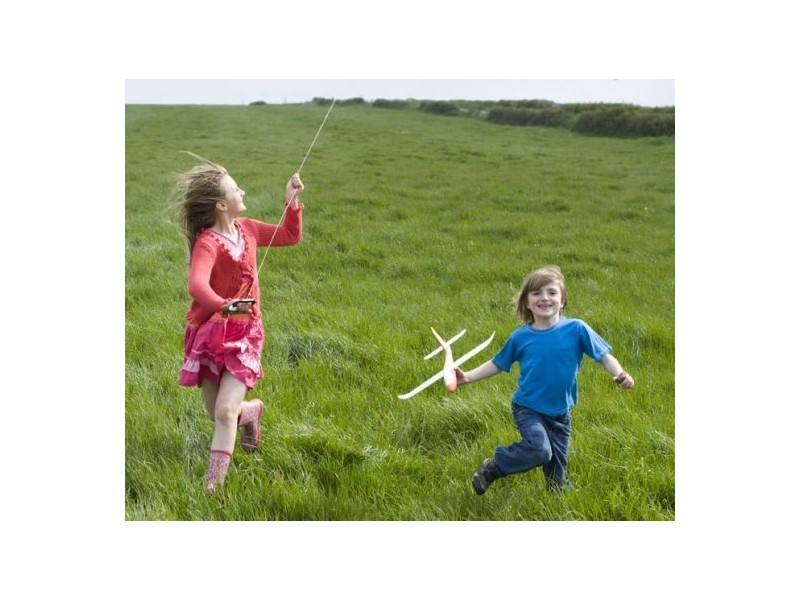 1 Casuarina Cres, Withcott QLD 4352