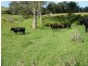 99 Byers Rd, Crows Nest QLD 4355