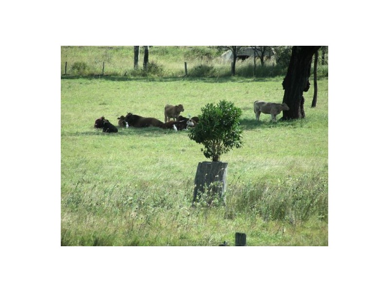 47 Karina Street, Placid Hills QLD 4343