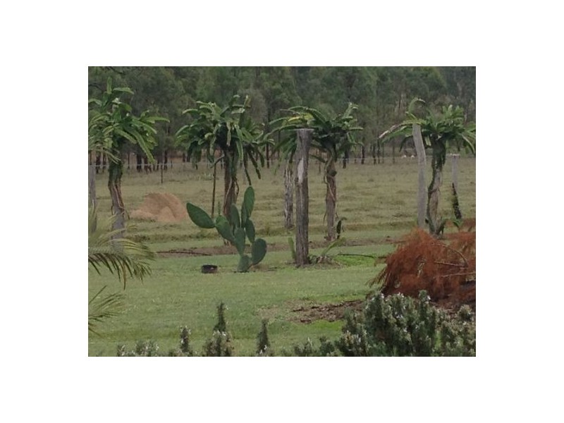 47 Karina Street, Placid Hills QLD 4343