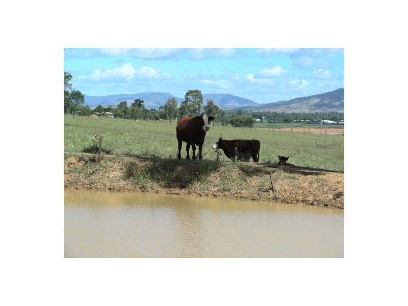 47 Karina Street, Placid Hills QLD 4343