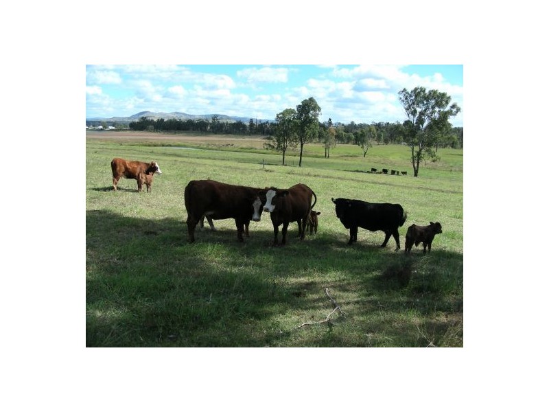 47 Karina Street, Placid Hills QLD 4343