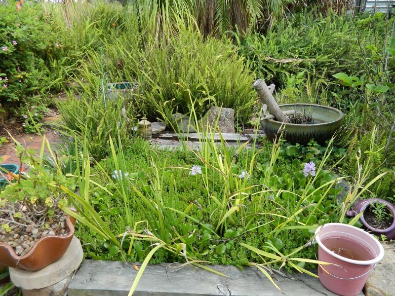 8 Pinnell Road, Crows Nest QLD 4355