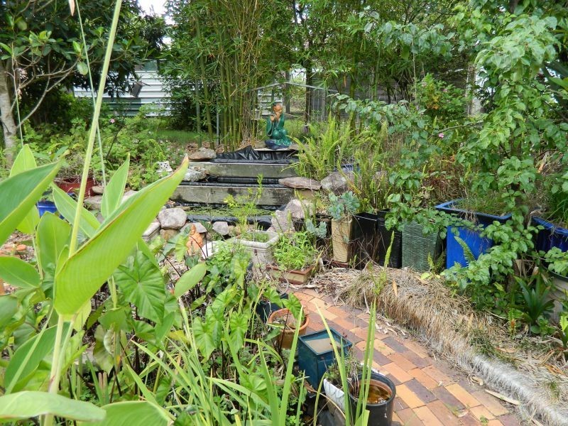 8 Pinnell Road, Crows Nest QLD 4355