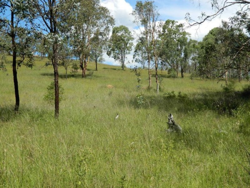 1508 Pierces Creek Road, Crows Nest QLD 4355