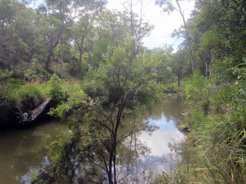 14A Esk Street, Crows Nest QLD 4355