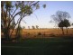 Bollon Mitchell Road, Bollon QLD 4488