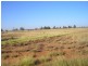 Bollon Mitchell Road, Bollon QLD 4488