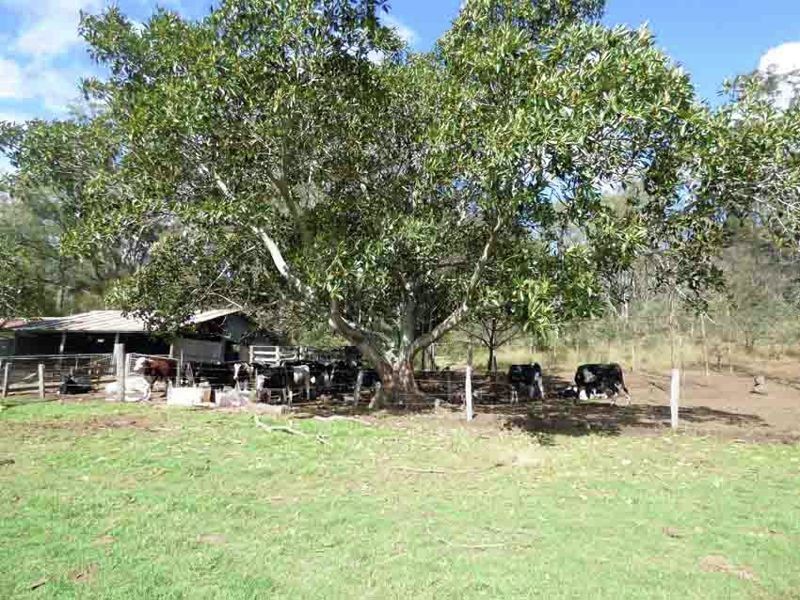 7802 New England Highway, Crows Nest QLD 4355