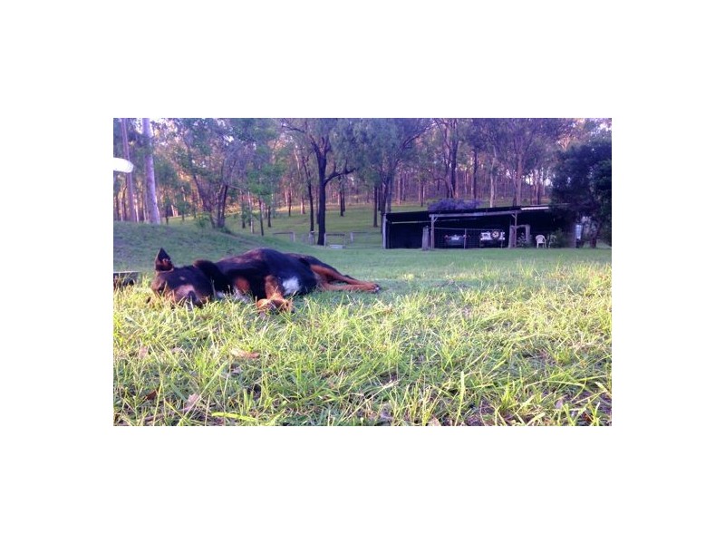 32 Connors Road, Grantham QLD 4347