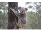 Lot 2 Thomas Road, Upper Lockyer QLD 4352