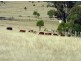 7659 New England Hwy.,, Crows Nest QLD 4355