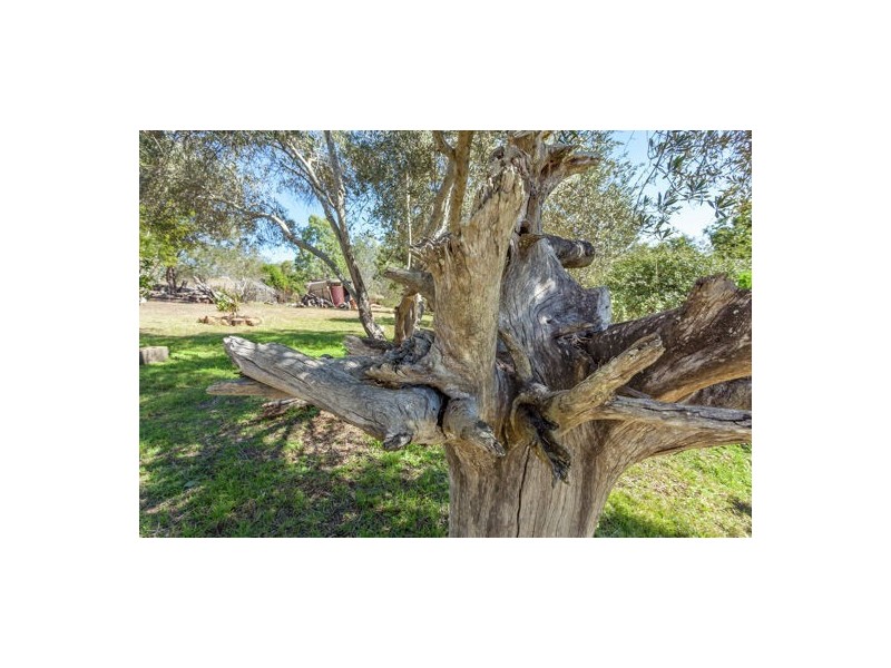 95 Six Mile Creek Road, Postmans Ridge QLD 4352