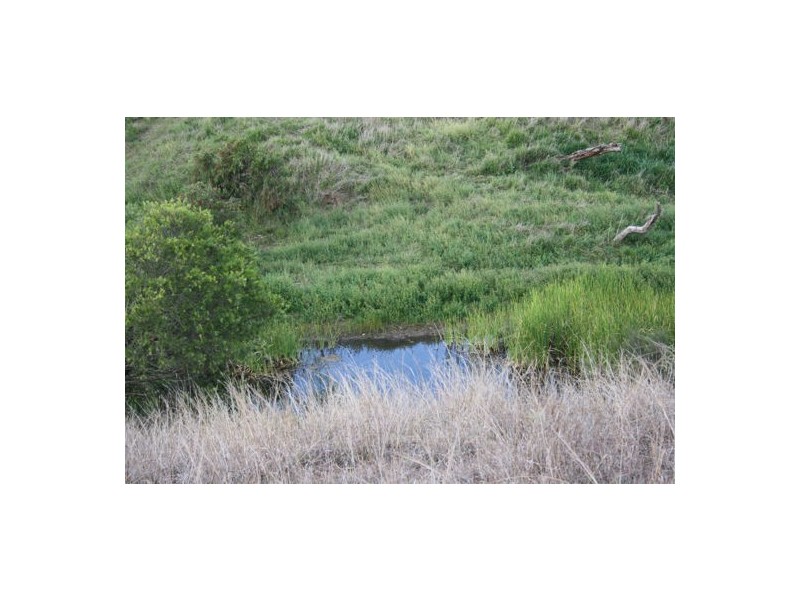 124 Hartz Road, Iredale QLD 4344