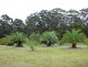 556 Back Creek Rd, Crows Nest QLD 4355