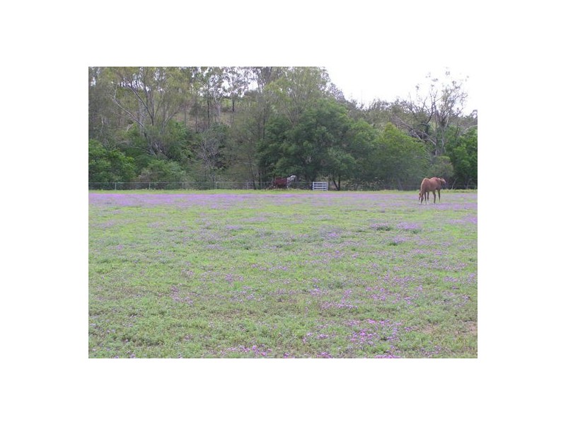 57 Jessie Lane, Murphys Creek QLD 4352