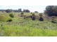 Lot 1 Whichello Rd, Whichello QLD 4352