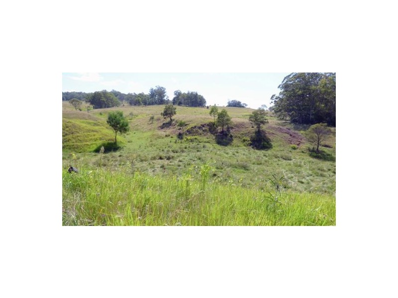 Lot 1 Whichello Rd, Whichello QLD 4352
