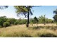 Lot 1 Whichello Rd, Whichello QLD 4352