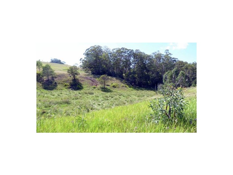 Lot 1 Whichello Rd, Whichello QLD 4352