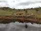 46 Topps Rd, Flagstone Creek QLD 4344